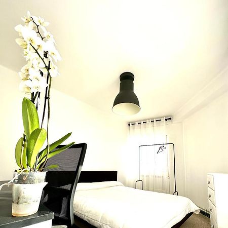 Apartamento Cebra Apartment Zaragoza Exterior foto