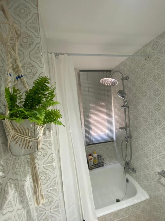 Apartamento Cebra Apartment Zaragoza Exterior foto